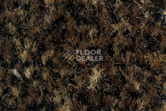 Forbo Coral Brush 5774 Biscotti Brown фото 2 | FLOORDEALER