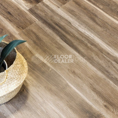 Alpine Floor Easy Line 3мм ОРЕХ СВЕТЛЫЙ ECO 3-12 фото 2 | FLOORDEALER