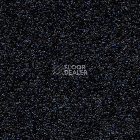 Грязезащитные покрытия Forbo Coral Luxe 2907 Sapphire фото 1 | FLOORDEALER