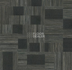 Forbo Coral Interior 1525 Prairie Dusk фото 3 | FLOORDEALER