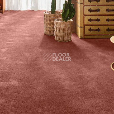 Vorwerk Exclusive 1060 Safira 1n27 фото 2 | FLOORDEALER
