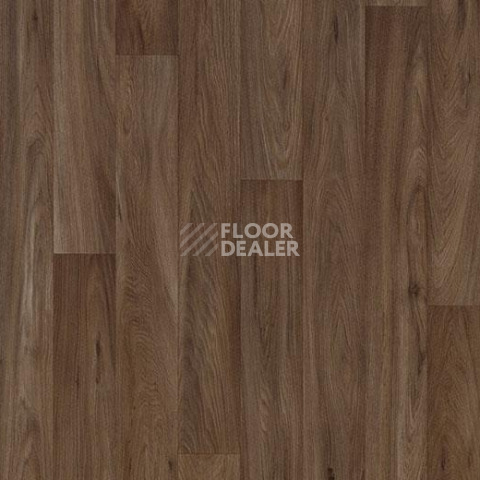 Линолеум Forbo Eternal Original 10452 dark oak фото 1 | FLOORDEALER