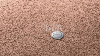 Ковролин Vorwerk Superior 1065/Viola Vorwerk 8h49 фото 1 | FLOORDEALER