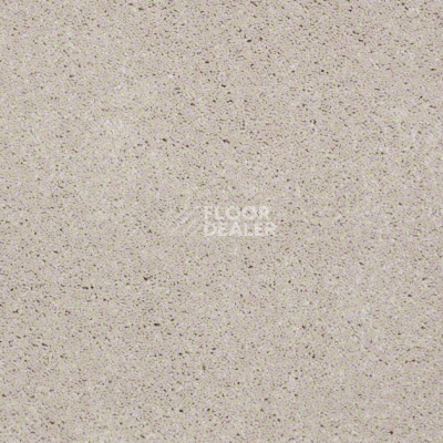 Ковролин Shaw Design Texture Platinum 121 фото 1 | FLOORDEALER