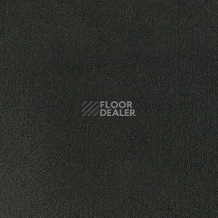 Ковролин Desso Asteranne 9990 фото 1 | FLOORDEALER