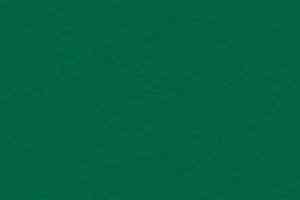 Линолеум Gerflor Taraflex evolution Uni 6557_Forest фото  | FLOORDEALER