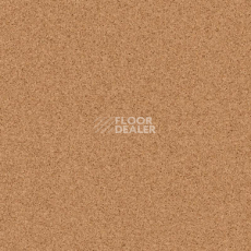Линолеум Tarkett Primo Plus 303 фото 1 | FLOORDEALER