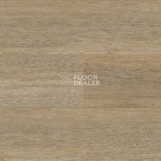 Линолеум Polyflor Expona Wood 6179 фото 1 | FLOORDEALER
