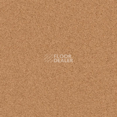 Линолеум Tarkett Primo Plus 303 фото 1 | FLOORDEALER