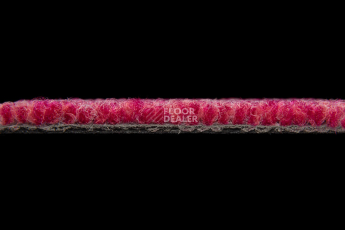Balsan Season - Summer / Winter 550 фото 3 | FLOORDEALER