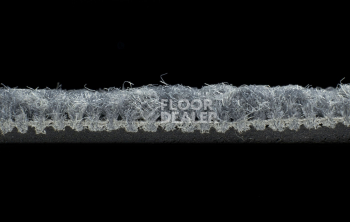 IVC Liberate 559 фото 6 | FLOORDEALER