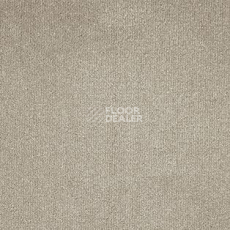 Ковролин AW Midas 35 фото 1 | FLOORDEALER
