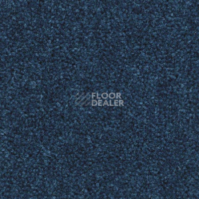 Ковролин Balsan Majestic 192 фото 1 | FLOORDEALER
