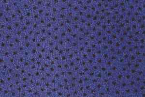 Ковролин Associated Weavers Perfecto 77 фото  | FLOORDEALER