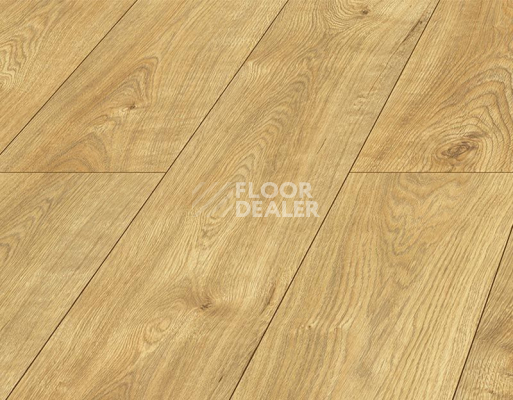 Ламинат Kronopol Platinium Testa AQUA BLOCK 8mm Kronopol Platinium Testa Aqua Block 24h Дуб Рубен D4582 фото 3 | FLOORDEALER