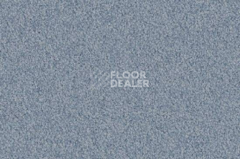 Ковролин Vorwerk Viola 3m65 фото 1 | FLOORDEALER