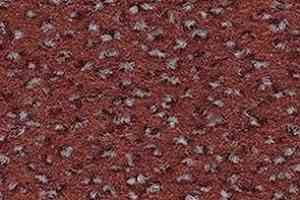 Ковровая плитка Balsan Zenith 735 фото  | FLOORDEALER