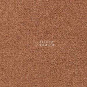 Ковролин Radici Montecarlo 42 фото 1 | FLOORDEALER