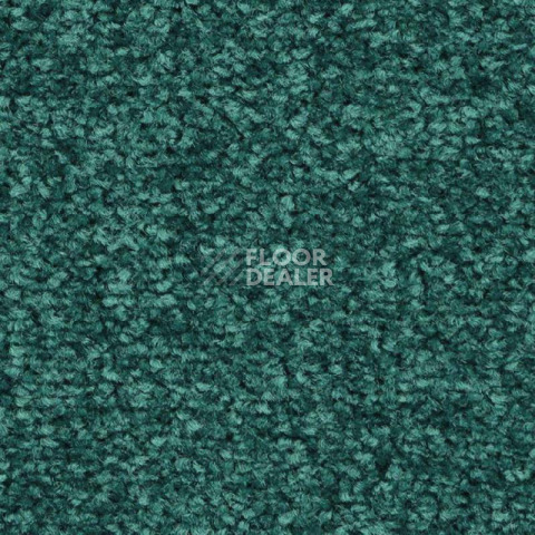 Ковролин Balsan First Class 280 фото 1 | FLOORDEALER