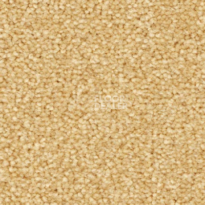 Ковролин Balsan First Class 310 фото 1 | FLOORDEALER