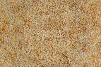 Forbo Flotex Colour s 290006 Calgary Sahara фото 2 | FLOORDEALER