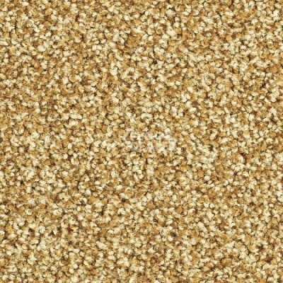 Ковролин Balsan Script 380 фото 1 | FLOORDEALER