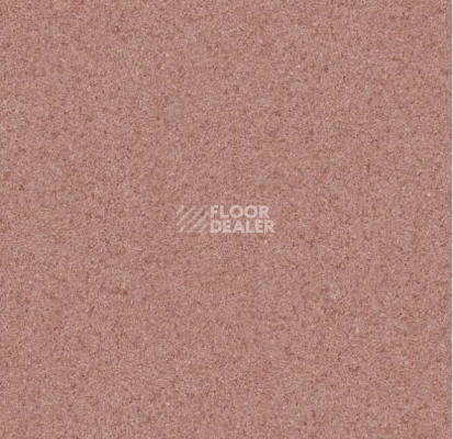 Линолеум Grabo Terrana Top Extra 4564-292 фото 1 | FLOORDEALER