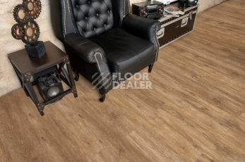 Alpine Floor Grand Sequoia Light 3.5мм Клауд ECO11-1001 фото 4 | FLOORDEALER