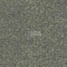 Ковролин Shaw Bradberry 30 637 фото 1 | FLOORDEALER