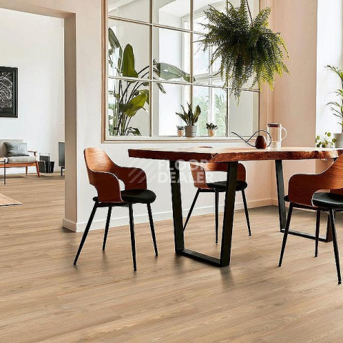 Kronotex Robusto 12мм d80892 Каштан Солсбери темный фото 2 | FLOORDEALER