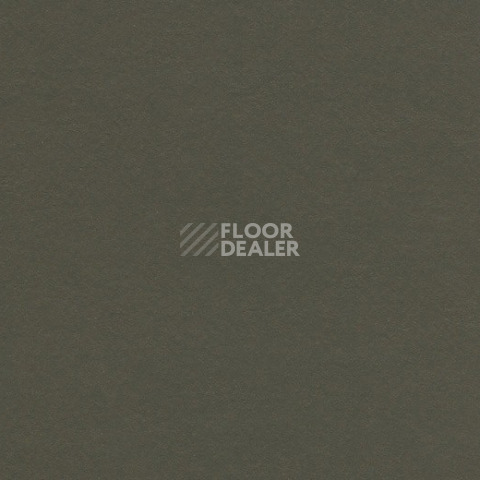 Линолеум Forbo Marmoleum Decibel on Order 337635 peat фото 1 | FLOORDEALER