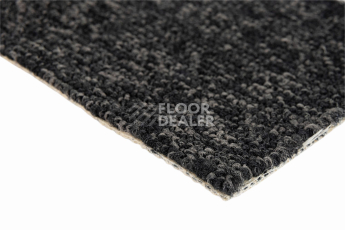 Big  Studio 161 фото 4 | FLOORDEALER