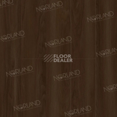 Ламинат Norland Elegant 8мм Дуб Треско LF301-22 фото 1 | FLOORDEALER