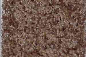 Ковролин Bell Rock Beaulieu of America 2681 фото  | FLOORDEALER