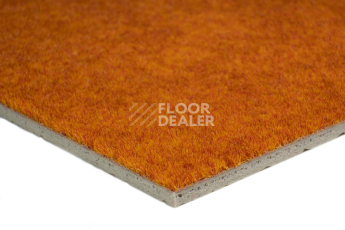 Forbo Flotex Colour Calgary 50*50 t 590024 Calgary Fire фото 3 | FLOORDEALER