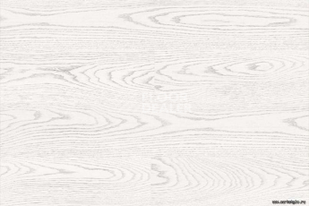 Wood Xl OAK WHITE фото 4 | FLOORDEALER
