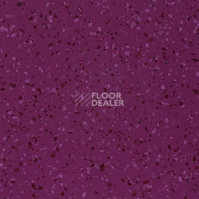Линолеум DLV Flooring Perfect Safety 5668 фото 1 | FLOORDEALER