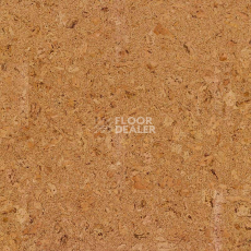 Пробковое покрытие Cork Pure Go AJ8E002 Originals Shell фото 1 | FLOORDEALER