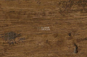 Пробковое покрытие Wood Xl Oak  Old фото 1 | FLOORDEALER