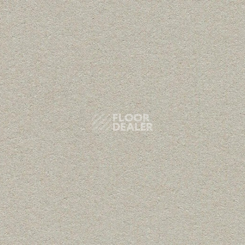 Линолеум Forbo Marmoleum Bulletin Board 2206 oyster shell фото 1 | FLOORDEALER