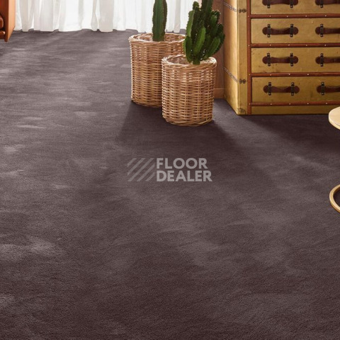 Vorwerk Exclusive 1060 Safira 7g65 фото 2 | FLOORDEALER
