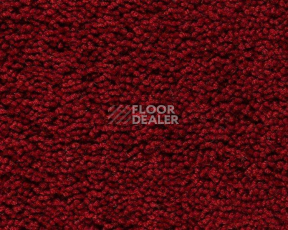 Ковролин Best Wool Pure Palace Lux 116 фото 1 | FLOORDEALER