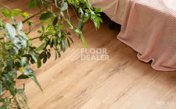 Vinilam Glue Luxury 2.5мм 33808 Дуб Витория Glue фото 3 | FLOORDEALER
