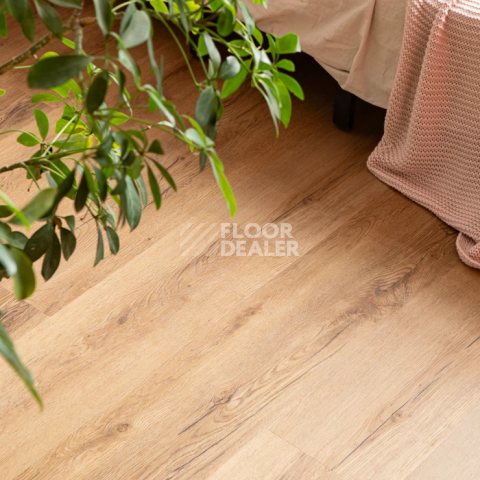 Vinilam Glue Luxury 2.5мм 33808 Дуб Витория Glue фото 3 | FLOORDEALER