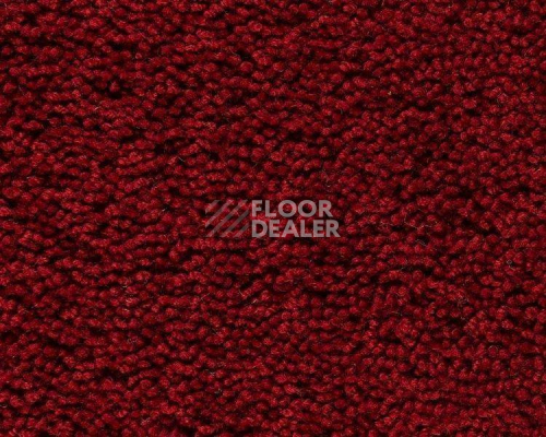 Ковролин Best Wool Pure Palace Lux 116 фото 1 | FLOORDEALER