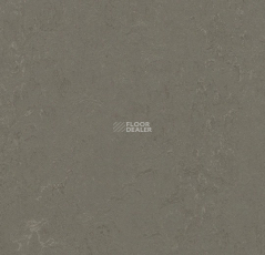 Forbo Marmoleum Solid Concrete 3723-372335 nebula фото 1 | FLOORDEALER