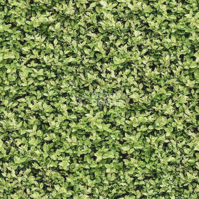 Ковролин Halbmond Pure Elements 13836 фото 1 | FLOORDEALER