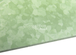 Tarkett iq Melodia 2640 фото 5 | FLOORDEALER