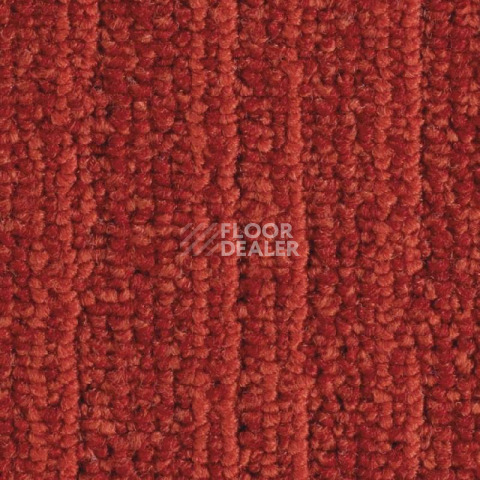 Ковровая плитка Balsan Jungle Sonic Confort 560 фото 1 | FLOORDEALER