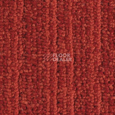 Ковровая плитка Balsan Jungle Sonic Confort 560 фото 1 | FLOORDEALER